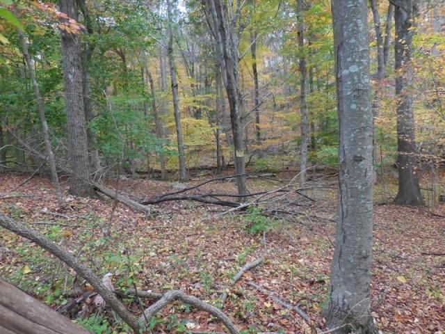 Land For Sale: Pound Ridge, New York - 2