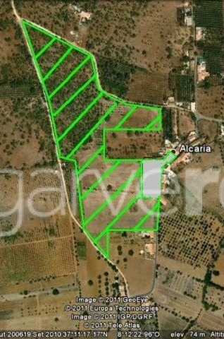 Farm To Renovate, 3.500 M2 To Build - 2