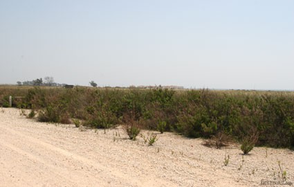 Larnaca