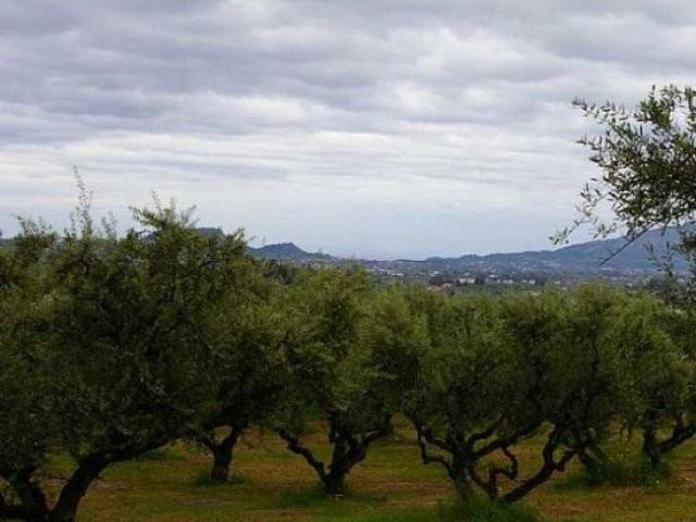 Land - Zakynthos - For Sale
