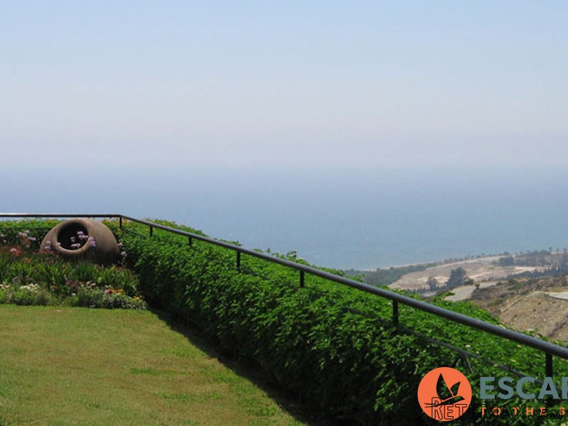Luxury Apartment In Theseus Village