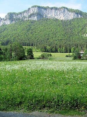 Building plot with breathtaking view in..