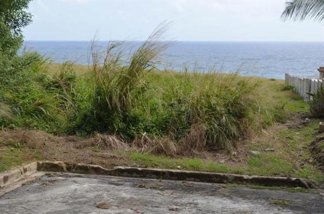 Property For Sale: Green Point Cliff..