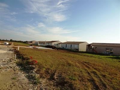 Site - 2