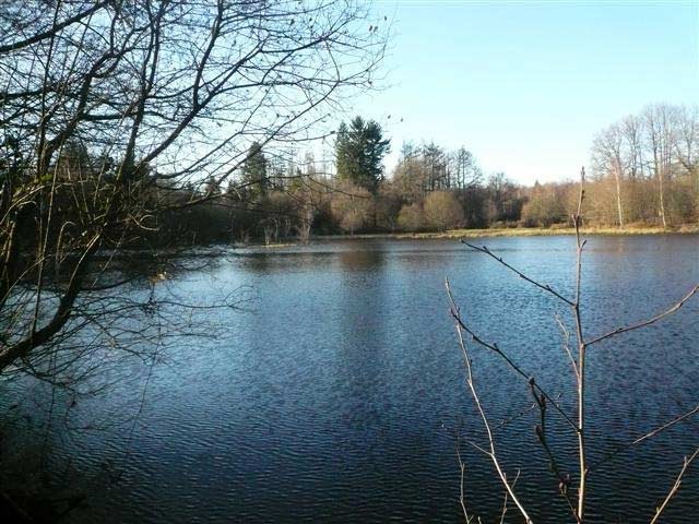 Lake In The Haute-Vienne Set On Almost..