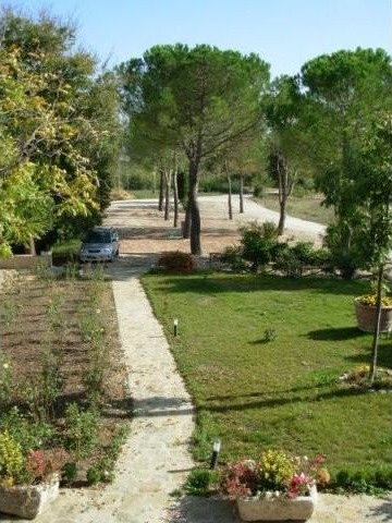 Farm for sale in Sovicille (Italy) - 2