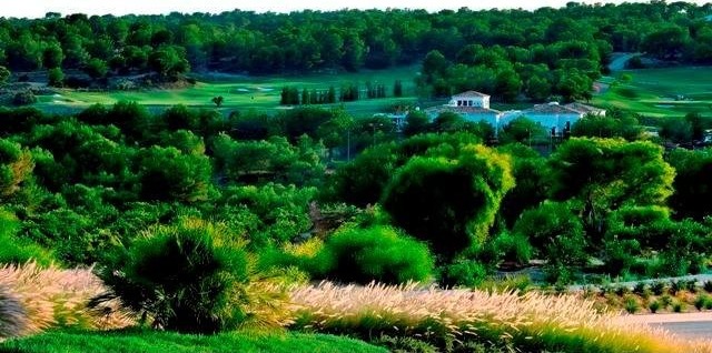 Plots for sale in Campoamor - 2