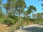 Building Plot, Cala Vinyes, Calvià.. - 2