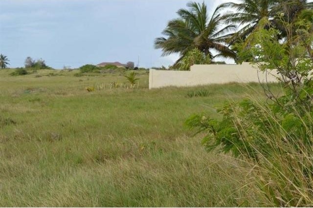 Property For Sale: Green Point Cliff.. - 2