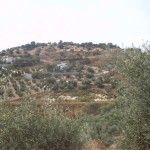 Cortijo, Iznajar - 2