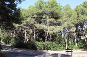 Costa Canyamel, plot for construction.. - 2