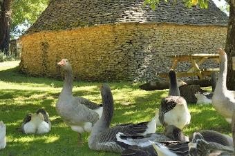 Located In The Dordogne, The Heart Of.. - 2