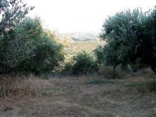 Cheap Crete Land - 2