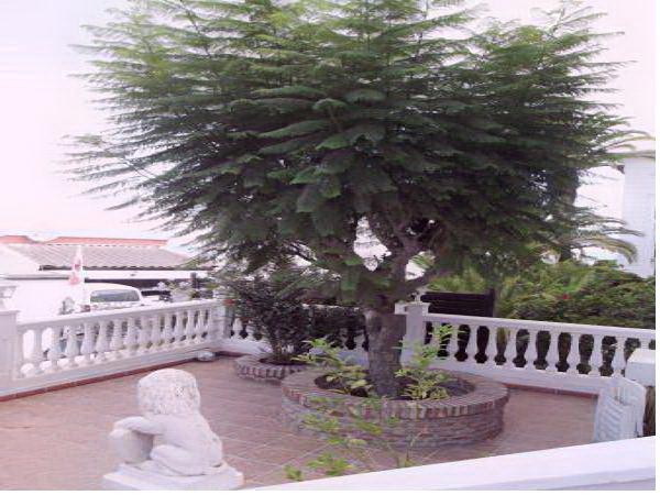 3 bedroom Apartment For Sale: South.. - 2