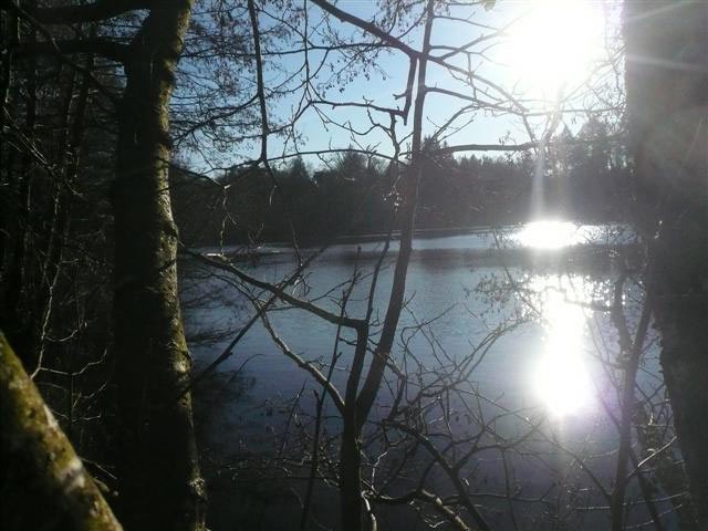 Lake In The Haute-Vienne Set On Almost.. - 2