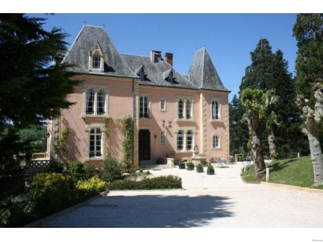 Stunning 19th Century Chateaux - 2