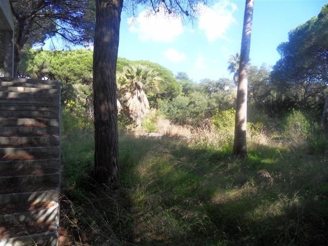 Villa - Detached Villa, Hacienda Las.. - 2