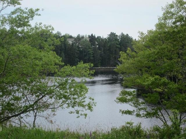 Land For Sale: Lot B-Y Arthur Hatt Road..
