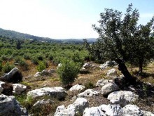 Ground For Sale In Crete