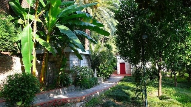 House in Herceg Novi