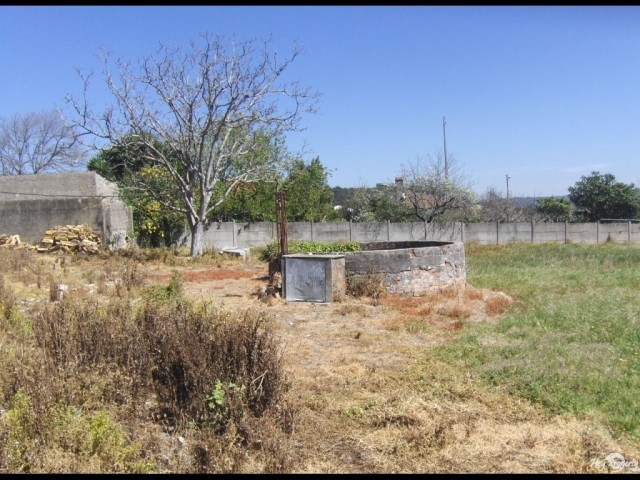 Land in a great location Monte Real - 2