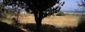 Close To The Sea - Dramia - 2