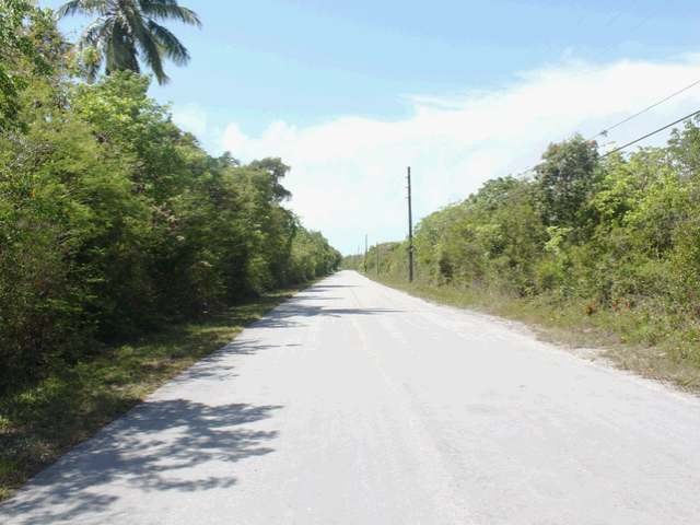 Singlefamilyvacant - Half acre tract of.. - 2