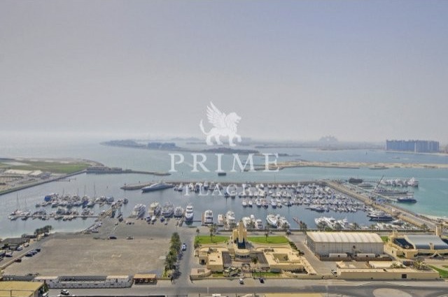Fully furnished and beautiful Arabian..