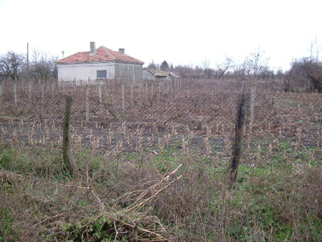 Land in Pryaspa, Dobrich - 2
