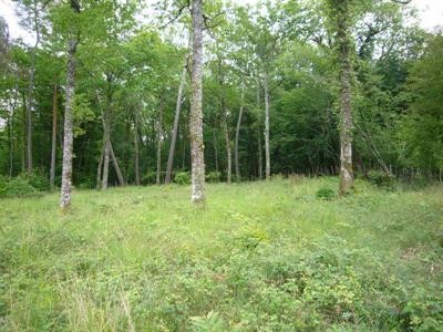 Condat sur Trincou (24530)