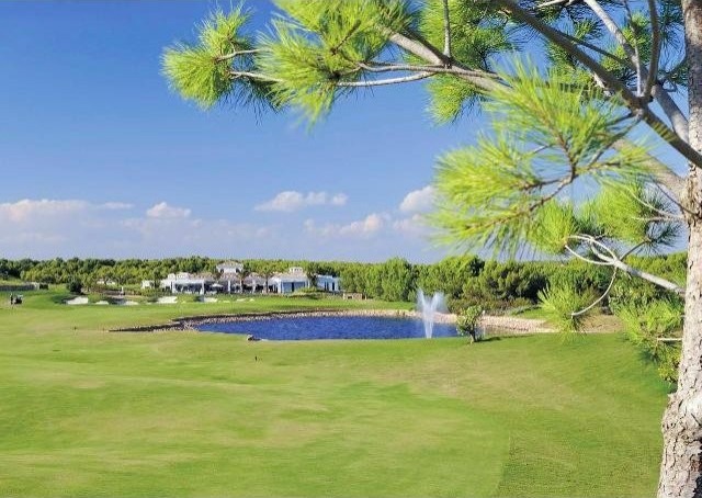 Plots for sale in Campoamor - 2