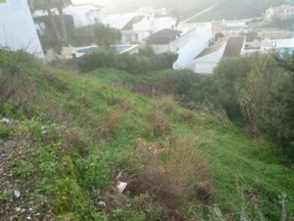 Plot for sale in Cerros del aguila - 2