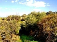 Crete Properties For Sale - 2