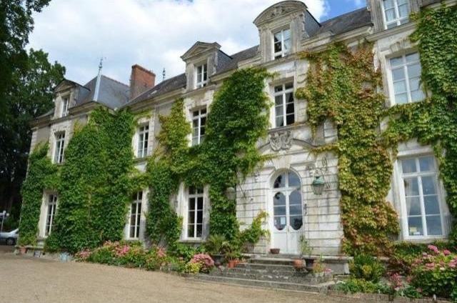 11 bedroom Castle For Sale: 72330 LE..