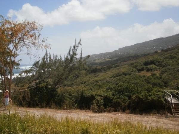 Property For Sale: Cattlewash, Atlantic.. - 2