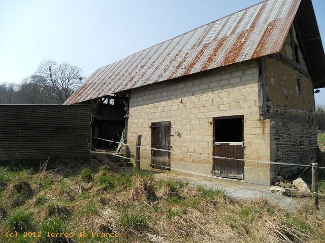 Equestrian Property - Greatly Reduced.. - 2