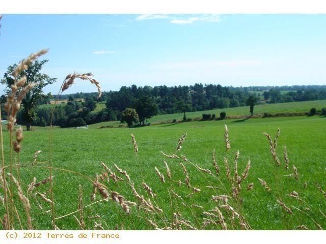 Beautiful Manor House, Reduced Price.. - 2