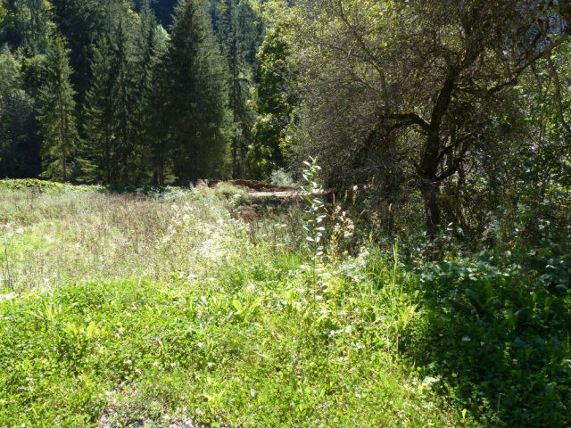 Land Montriond