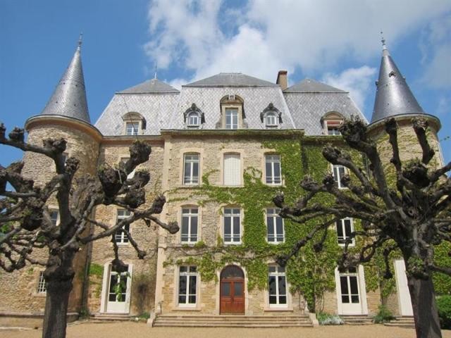 20 bedroom Castle For Sale: 71 SAONE ET.. - 2