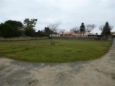 Site - 2