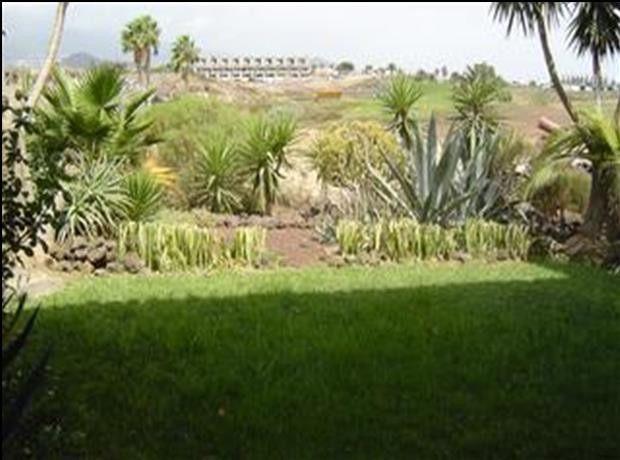 Apartment For Sale in Amarilla Golf.. - 2