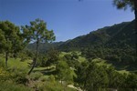 - Property - Malaga - For Sale - 2