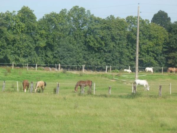 Country House with Gite Potential - 2