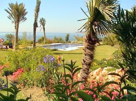 Stunning Frontline Beach Garden.. - 2