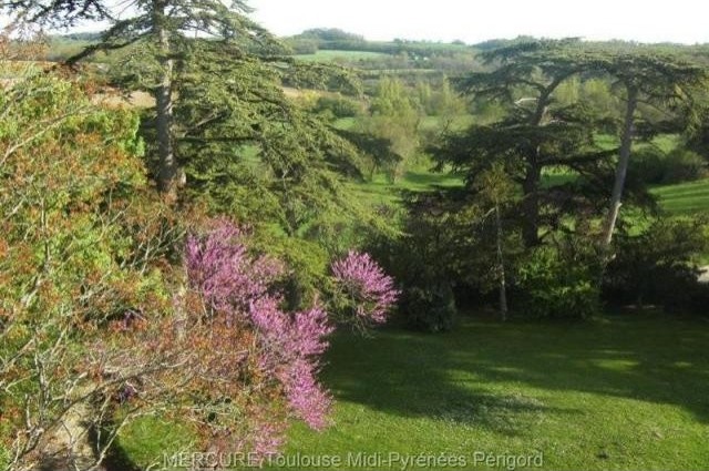 9 bedroom Castle For Sale: 47000.. - 2