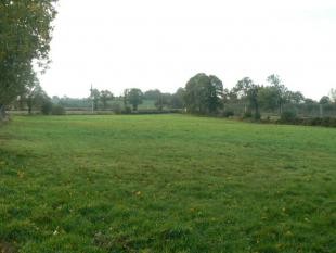 Country House on 1.7 Hectares - 2