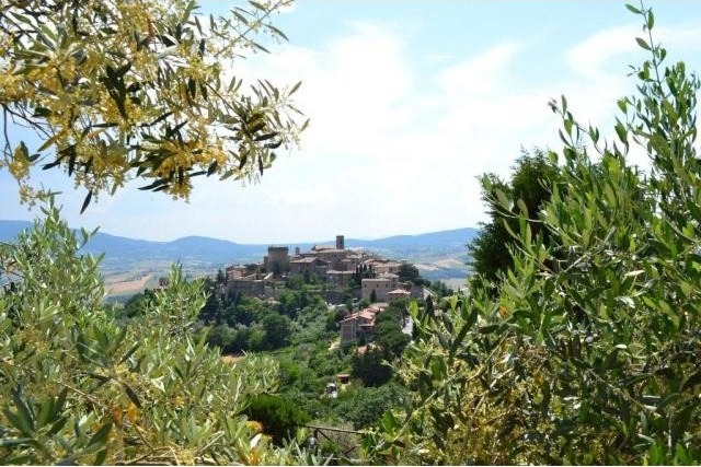 1 Bedroom - Apartment - For Sale - 2