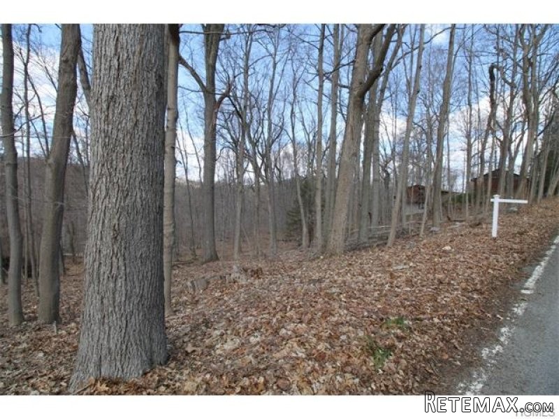 Land For Sale:Pleasantville, New York - 2