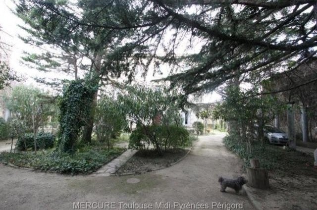 11 bedroom Castle For Sale: 11100.. - 2
