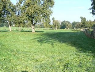 Ravishing Longere in the Country - 2